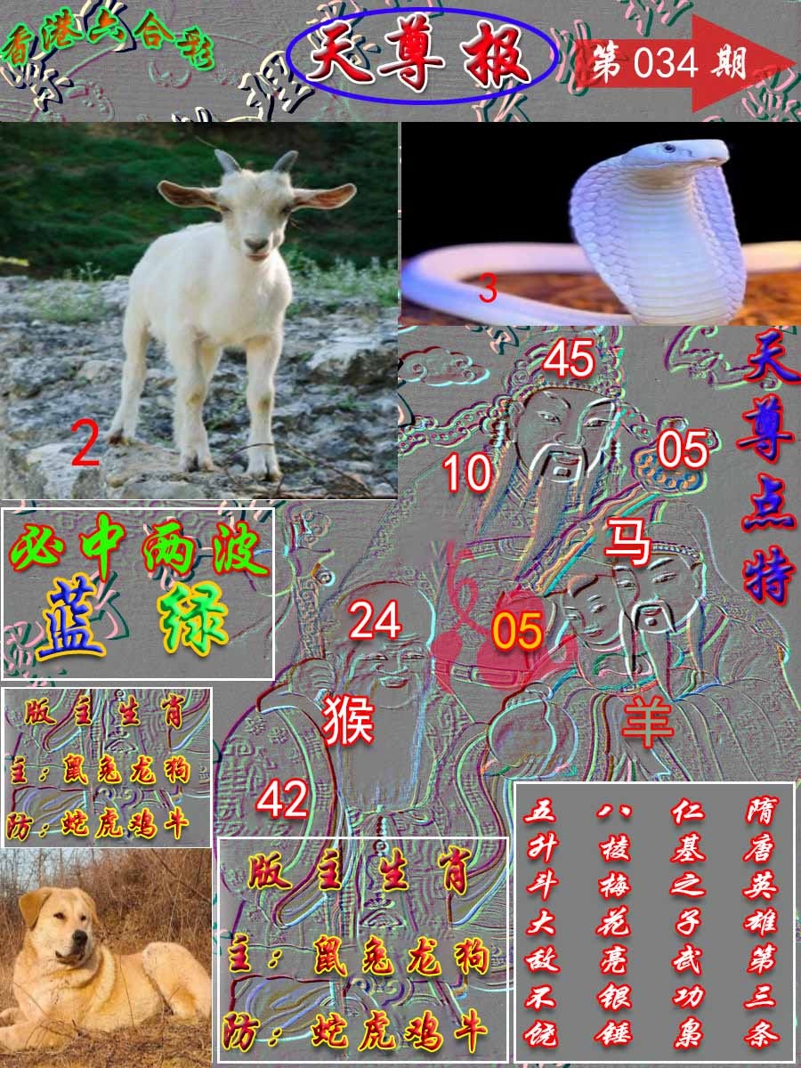 034期天尊报[图]