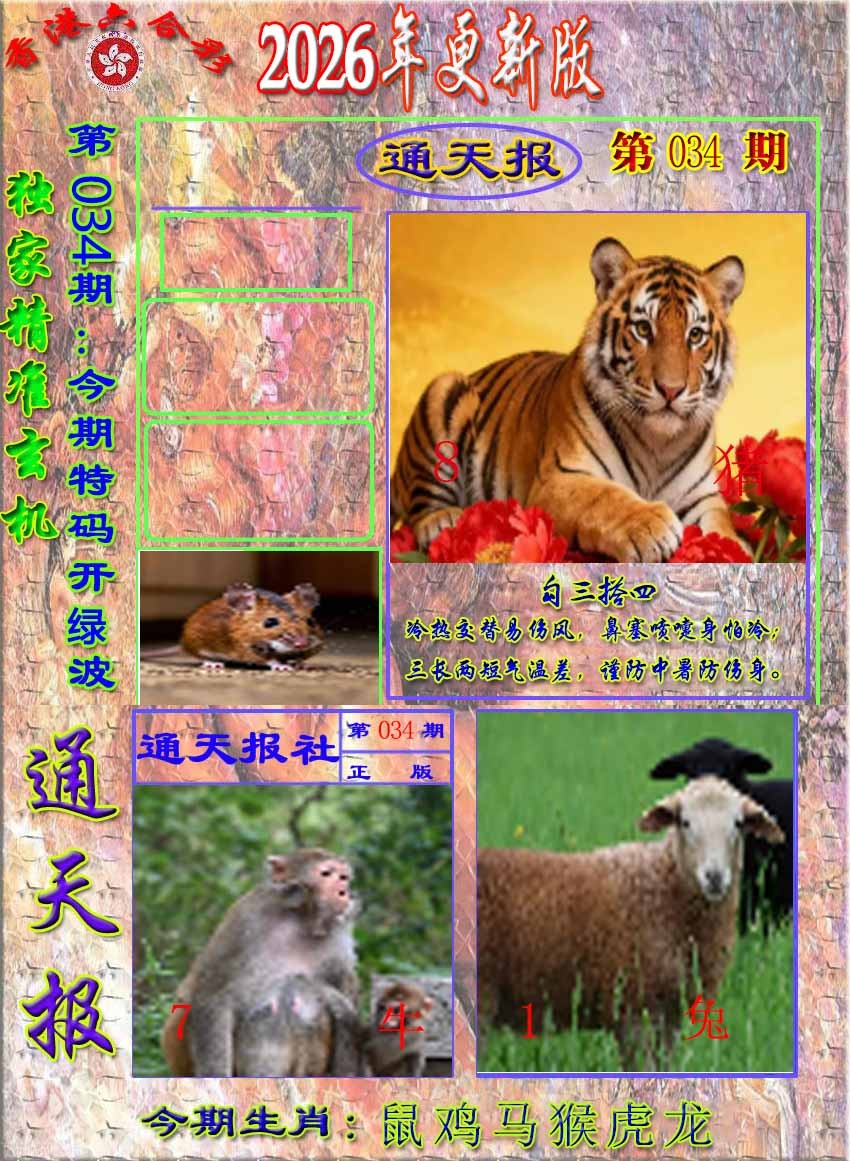 034期新通报[图]
